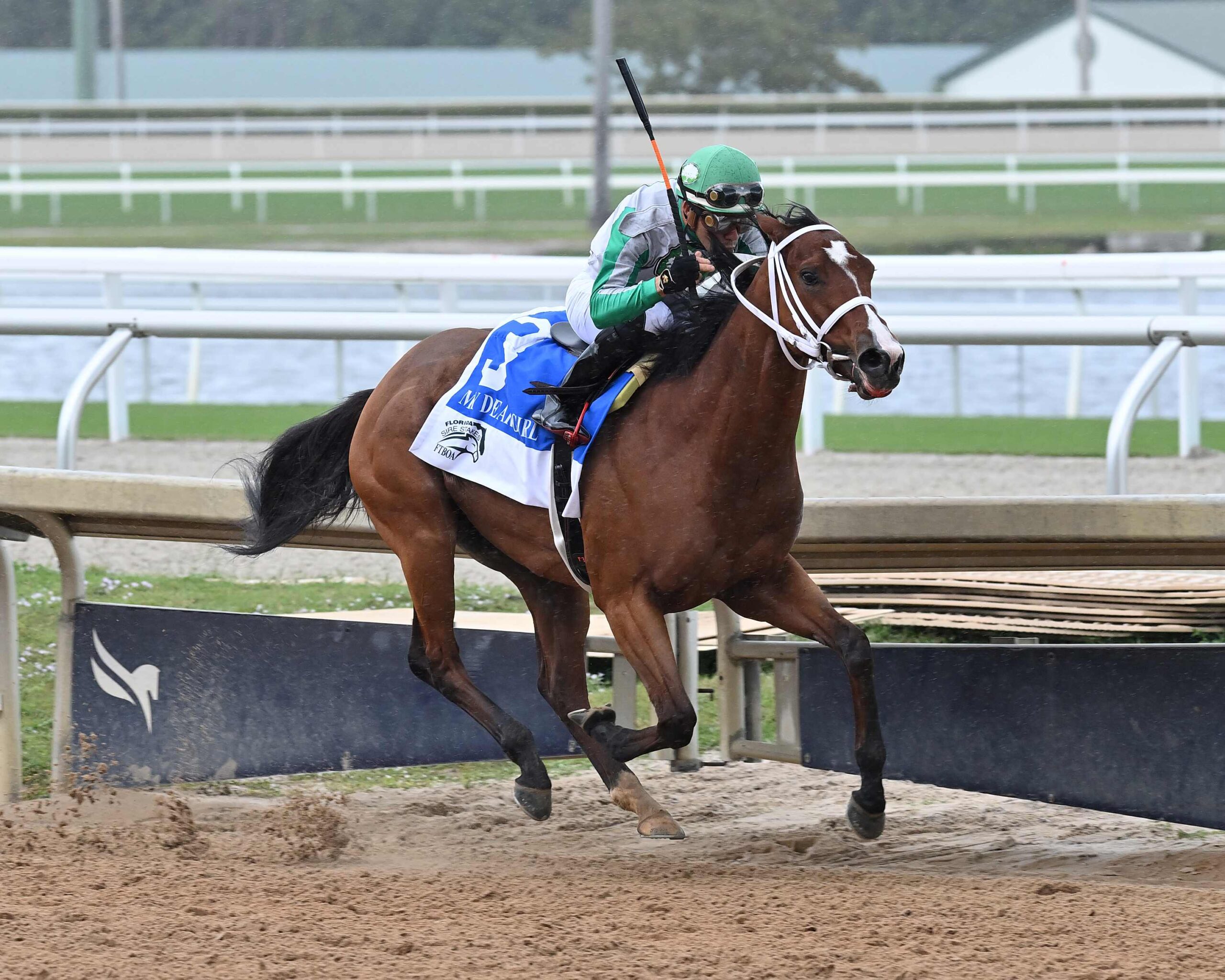 Mythical filly leading field in Gulfstream Park sprint race