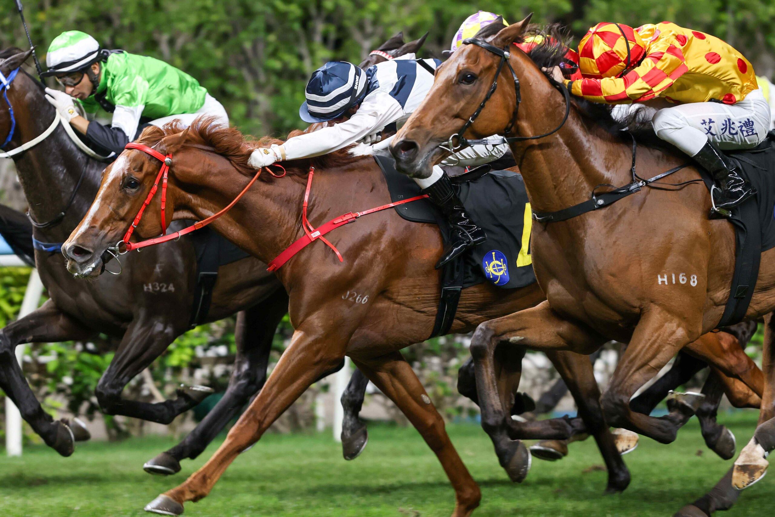 Danny Shum celebrates after a treble at Happy Valley ahead of Romantic Warrior’s QEII Cup run