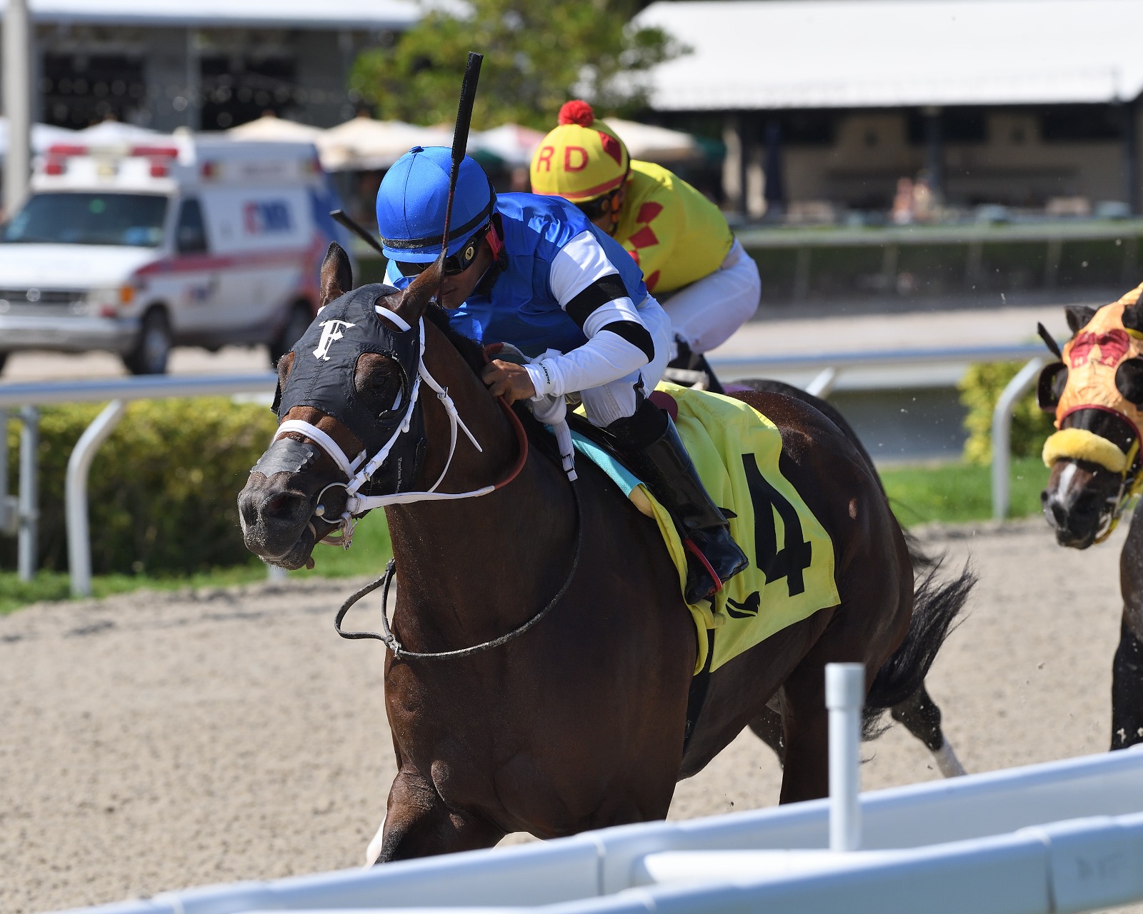 Reef Runner returning from Dubai after Al Quoz Sprint performance