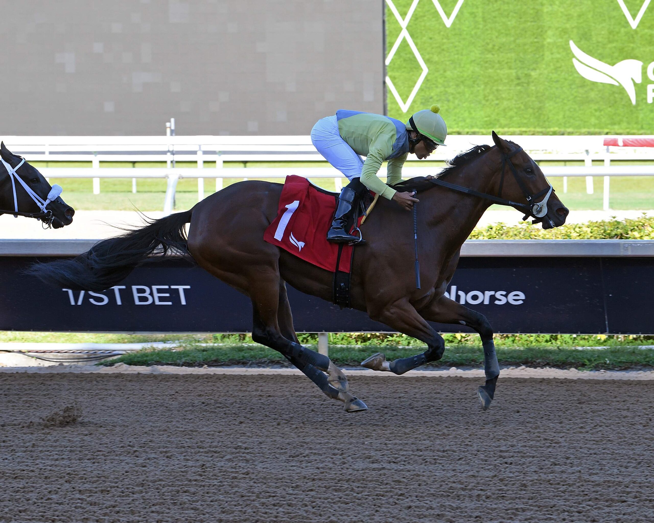 Runaway Diva winning the Mo Green Handicap at Gulfstream Park under Samy Camacho