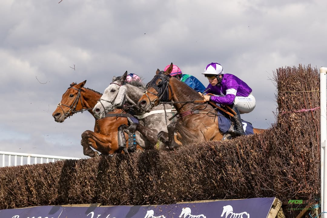 Ffos Las Racecourse race cards 12 April National Hunt racing action