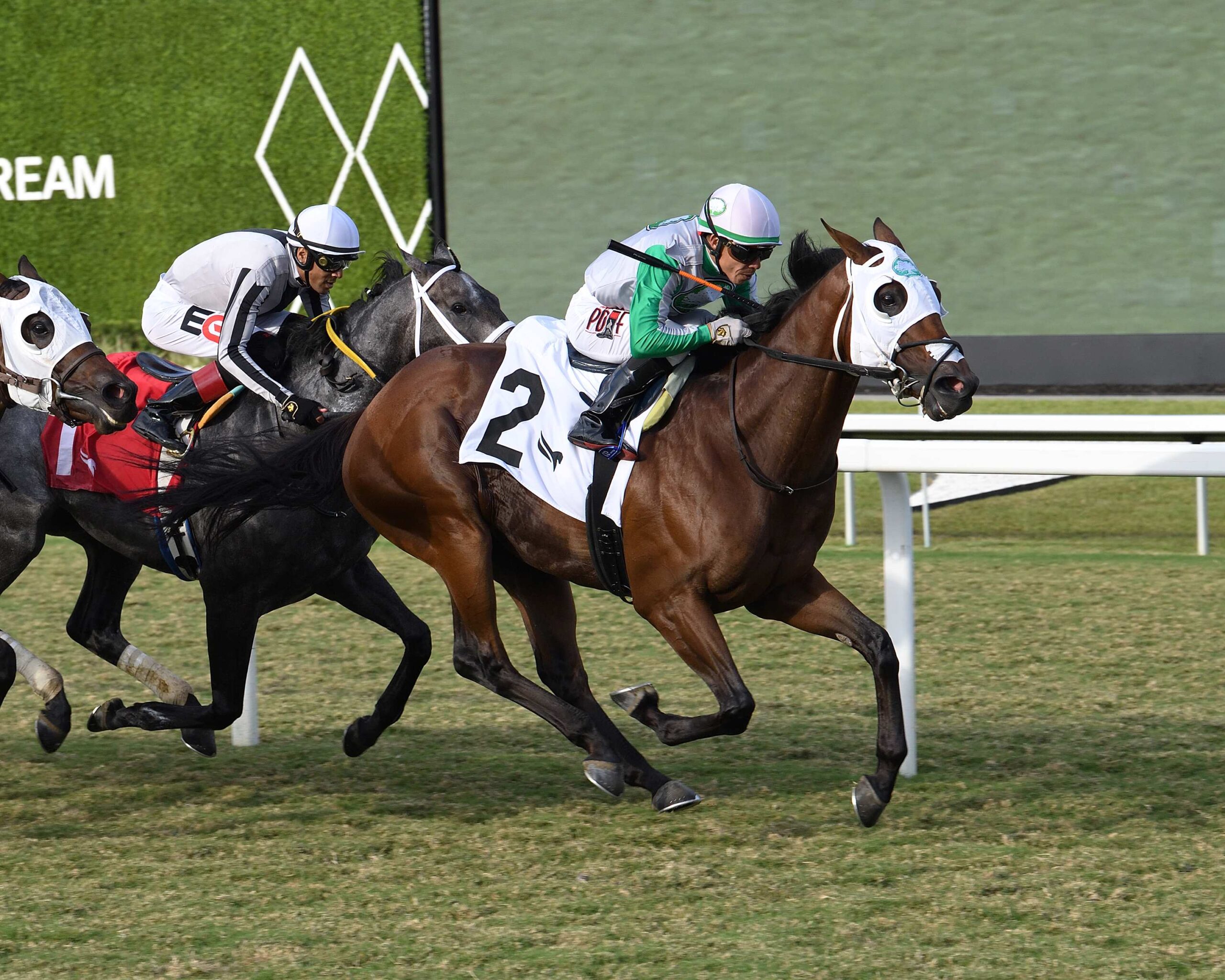 Tank leads field in Gulfstream Park FHBPA Turf race