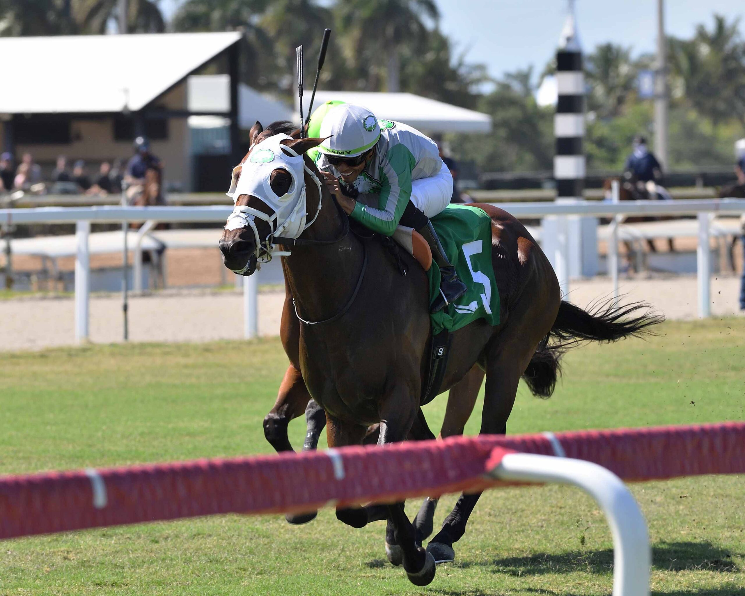 Tank leading field in FHBPA Turf at Gulfstream Park