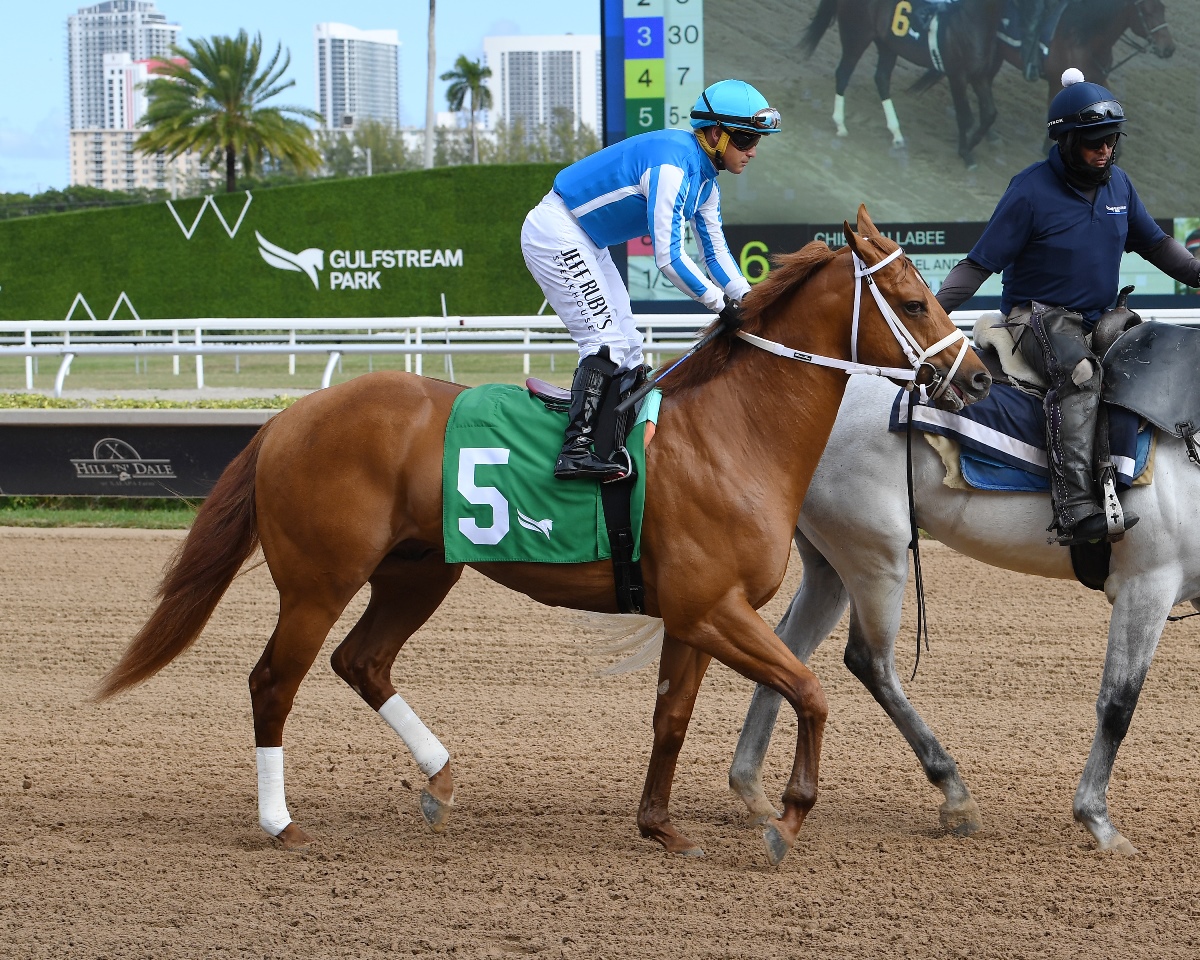 The Puma Kentucky Derby preparation workout at Gulfstream Park