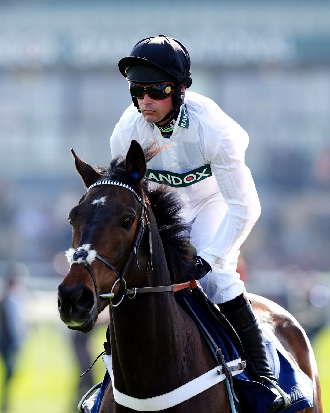 Constitution Hill meeting fans at Sandown Park Jump Finale 2026