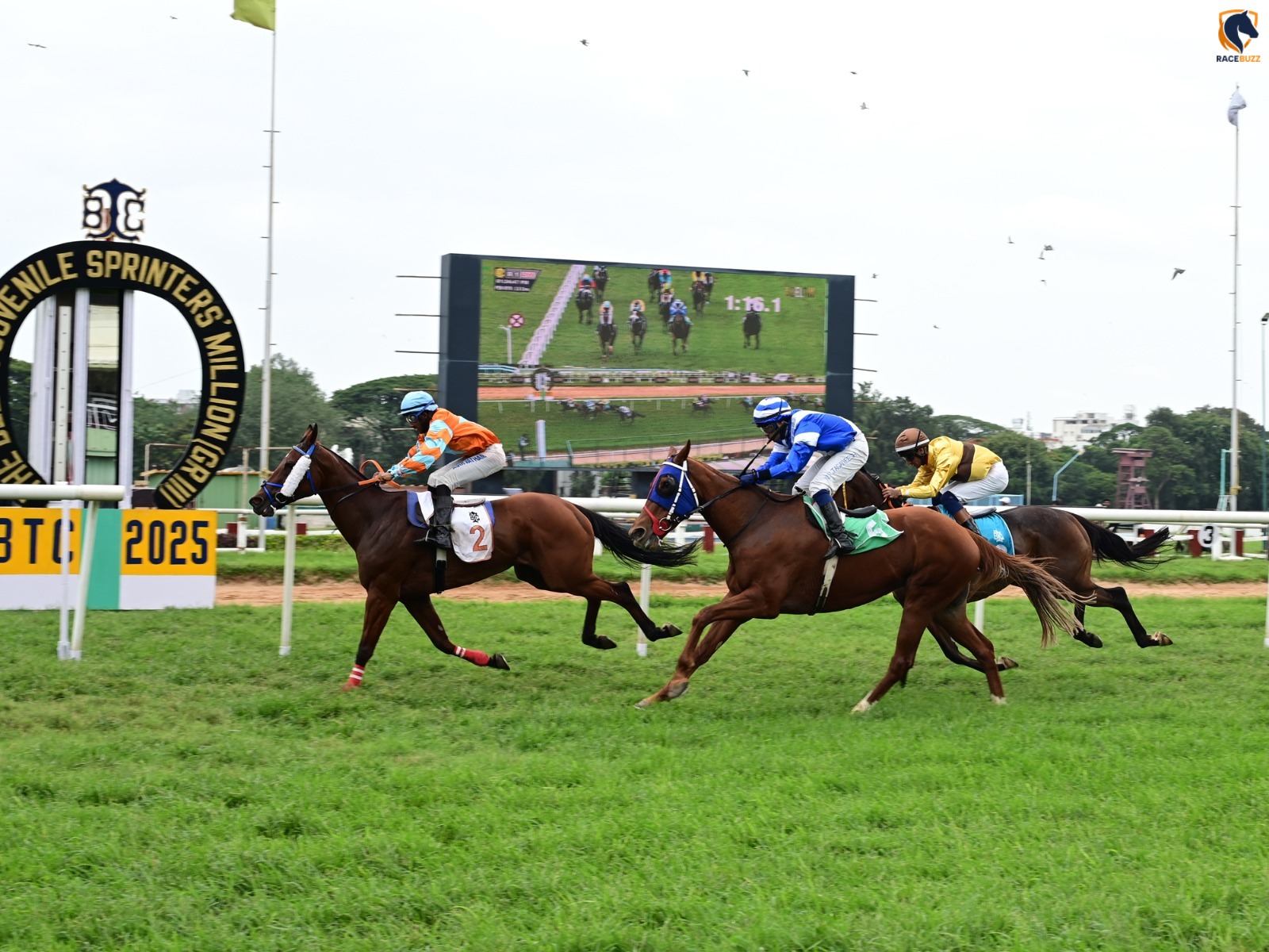 Bangalore Turf Club race track during Bangalore Summer Meeting 2026 in Bengaluru