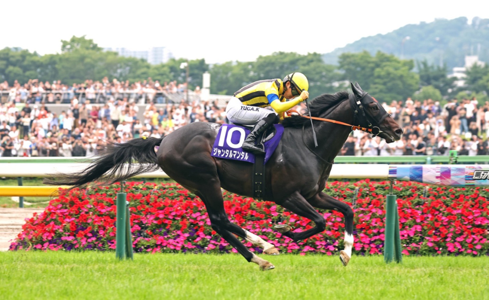 Jantar Mantar training at Sha Tin ahead of Champions Mile 2026