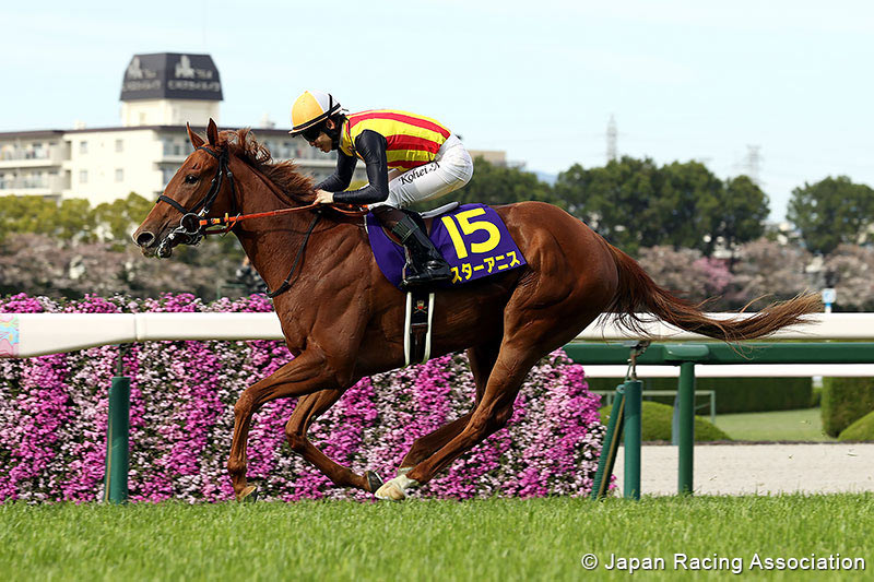Hanshin Race Results 12 April Oka Sho winner Star Anise at Hanshin Racecourse