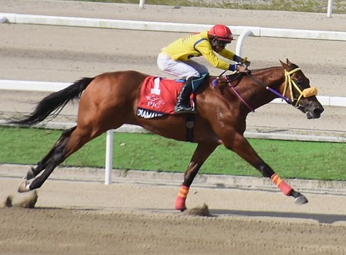 Philippine Race Cards 12 April eight-race uniform 1400m programme at Philippine Jockey Club