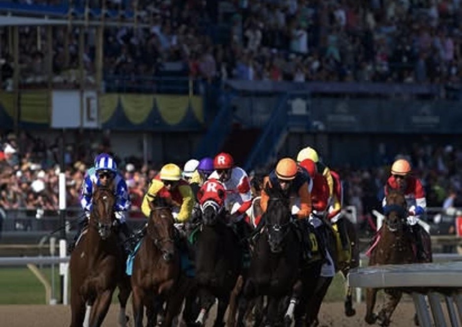Woodbine Racecards April 18 sprint races at Woodbine Racetrack