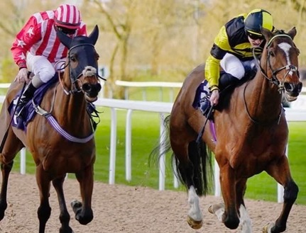 Southwell Race Cards 2 April full race details runners and preview