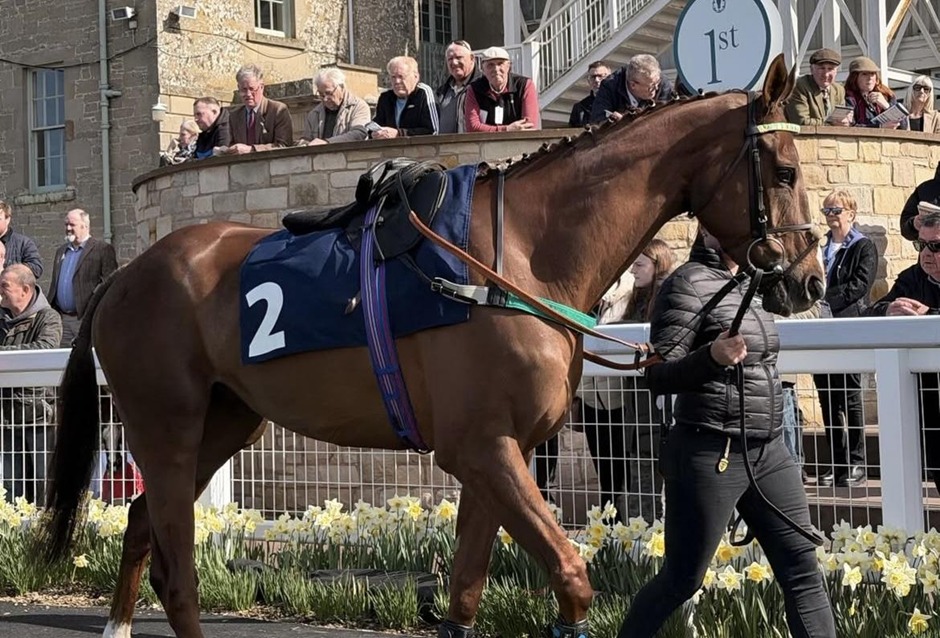 Kelso race results 2 April jump racing action at Kelso Racecourse