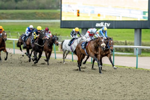 Lingfield Park Race Cards 20 April preview runners and races