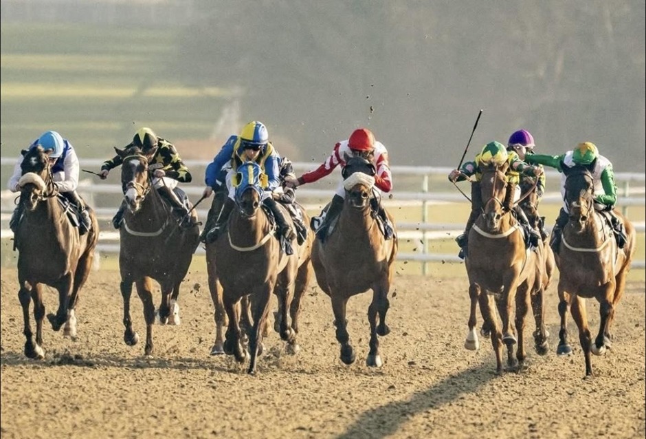 Lingfield racecards 3 April all weather racing action at Lingfield Racecourse