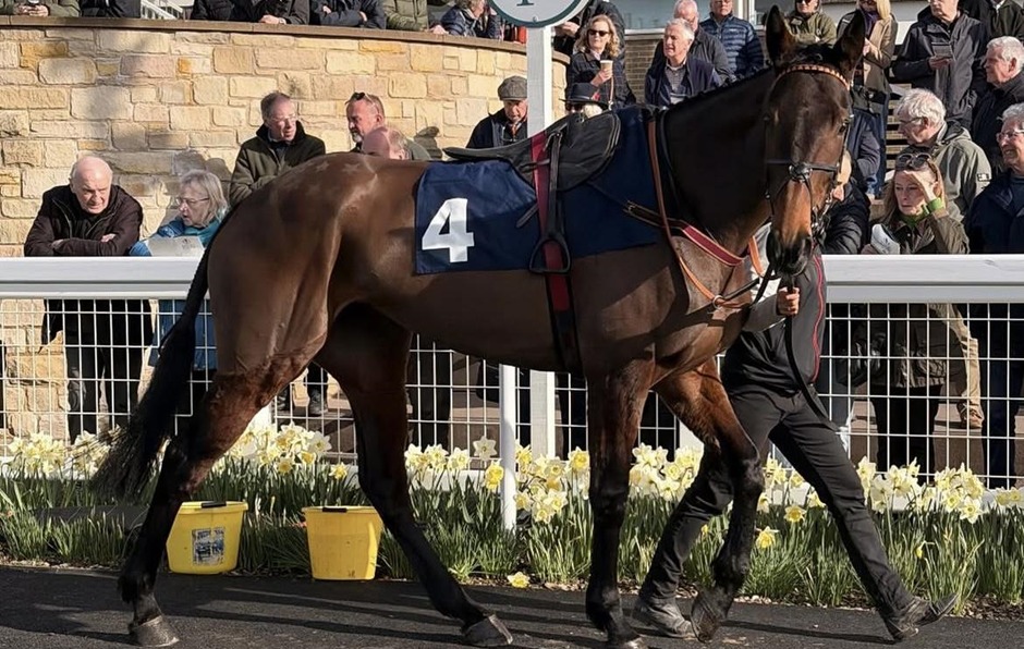 Kelso racecards 20 April jump racing action at Kelso Racecourse