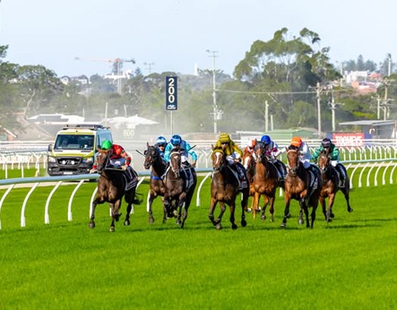Newcastle Race Cards 20 April all-weather evening racing with runners