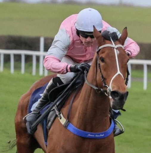 Sedgefield racecards 1 april jump racing action at Sedgefield Racecourse