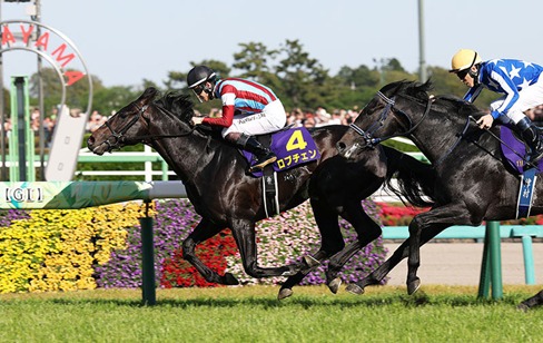 Hanshin Race Results 19 April winners and race action