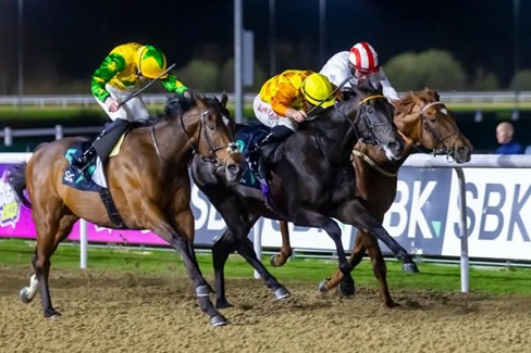 Wolverhampton Racecourse evening racing Wolverhampton Race Cards 21 April preview