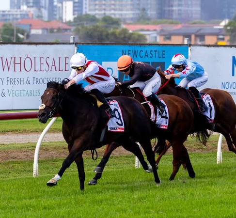 Newcastle Race Cards 13 April evening all-weather racing action