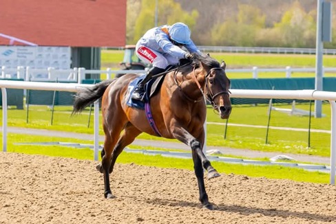 Wolverhampton Race Cards 10 April full race details