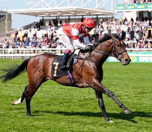 Newmarket Race Cards 15 April seven race preview at Rowley Mile