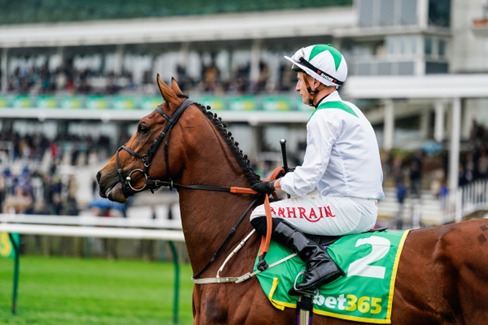 Newmarket Race Cards 16 April runners distance prize details overview