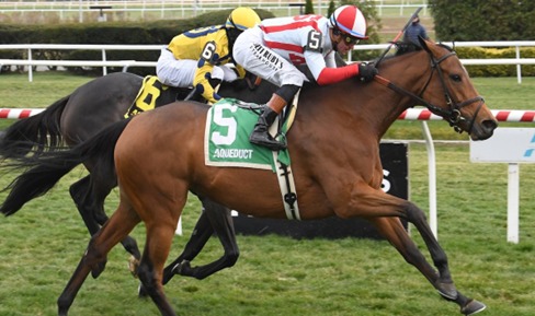 Aqueduct Race Cards 16 April racetrack overview before racing begins