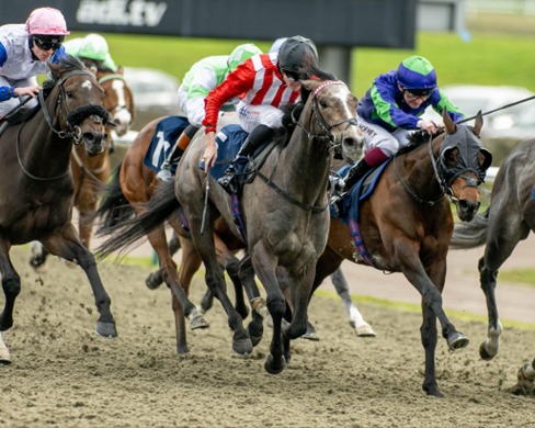 Lingfield Park Race Results 20 April race action on track