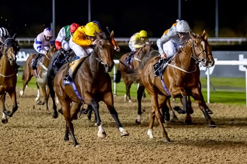 Wolverhampton Race Cards 6 April all-weather racecard preview