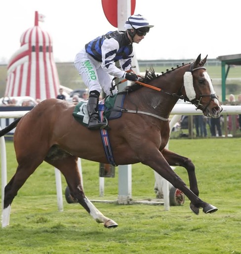Catterick Race Cards 22 April action during a flat racing meeting