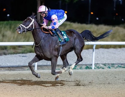 Al Ain Race Cards 10 April Arabian horses in action