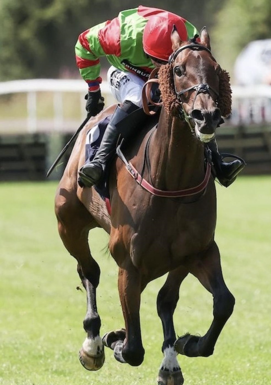 Perth racecards 23 April Thursday jump racing action at Perth Racecourse