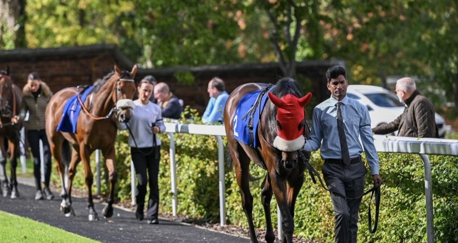Pontefract racecards 7 April flat racing action at Pontefract Racecourse