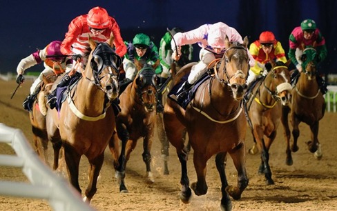 Southwell Race Cards 23 April evening racecard featuring full eight-race programme