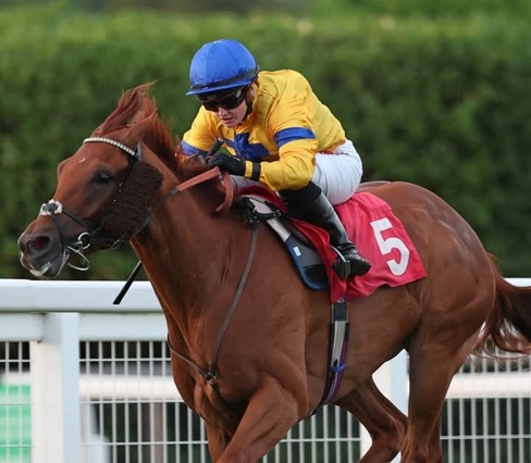 Sandown Park Race Cards 24 April race schedule and full details