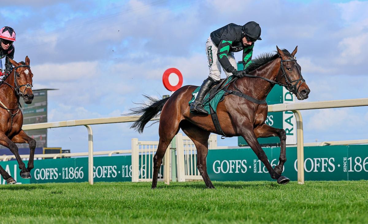 Nan’s Choice winning the Grade Two mares bumper under Harry Skelton