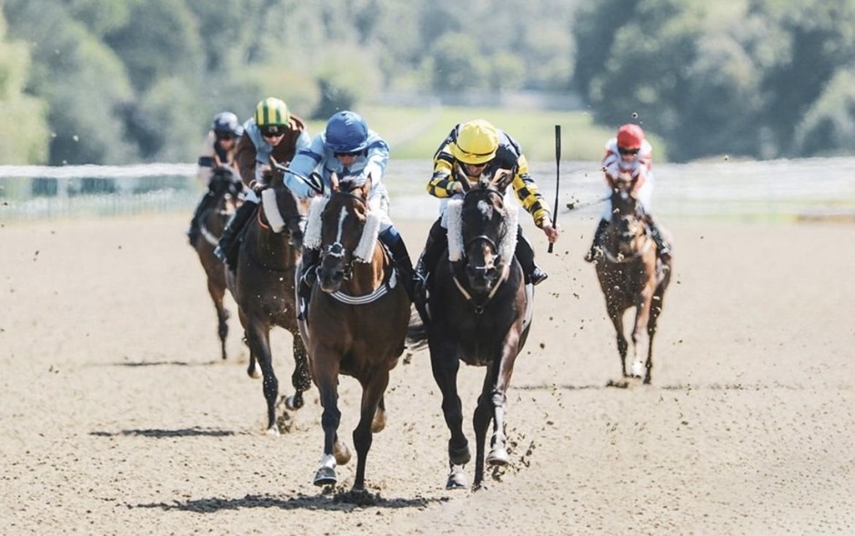 Lingfield Park racecards 14 April all weather racing action at Lingfield Park Racecourse