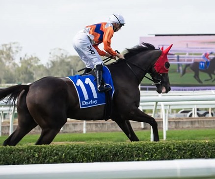 Royal Randwick Race Cards 18 April ten race schedule Australian Turf Club