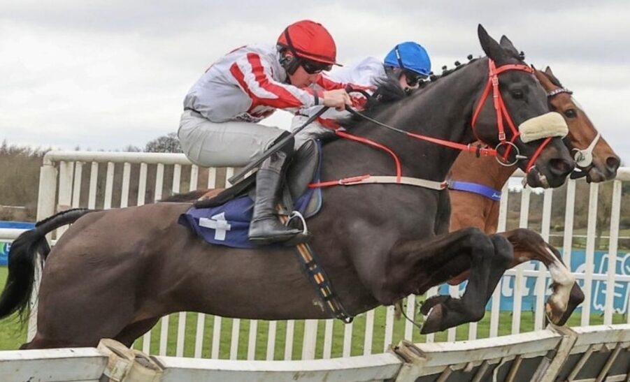 Sedgefield race results 10 April jump racing action at Sedgefield Racecourse