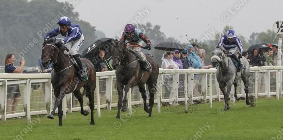 Ripon racecards 25 April flat racing action at Ripon Racecourse