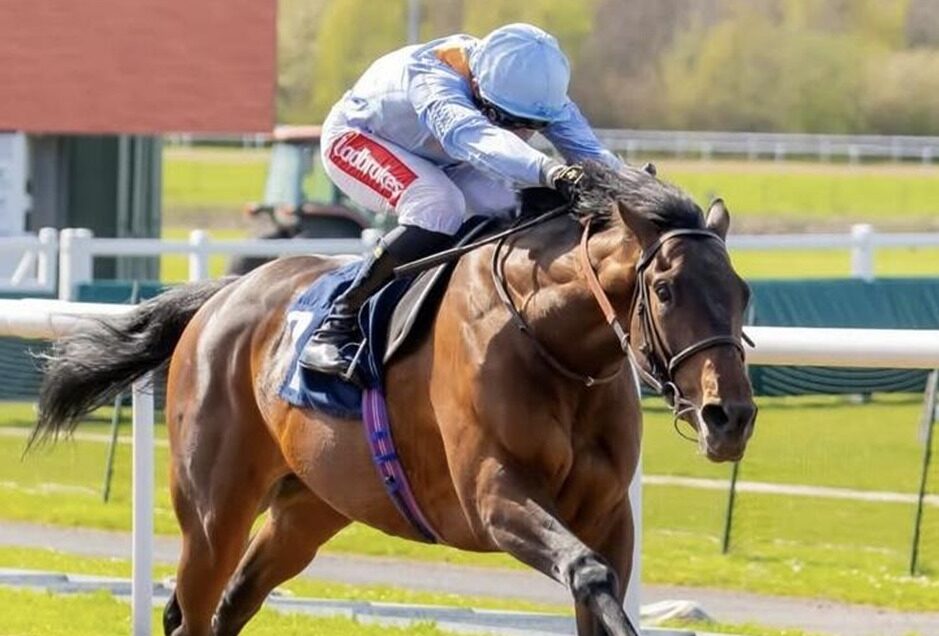 Wolverhampton racecards 9 April all weather racing action at Wolverhampton Racecourse