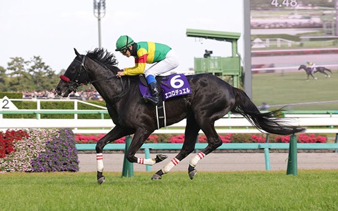 Tokyo Race Cards 25 April at Tokyo Racecourse featuring Aoba Sho