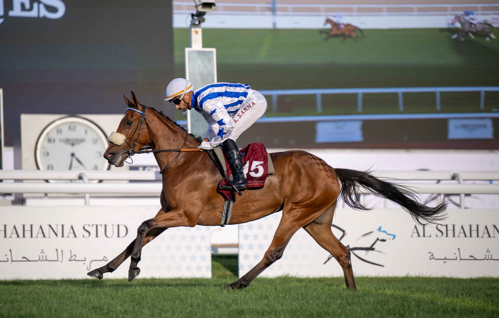 Al Rayyan Racecards 9 April feature race action at Al Rayyan Racecourse