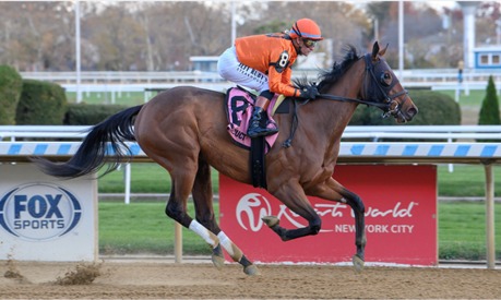 Aqueduct Race Cards 9 April seven-race programme overview