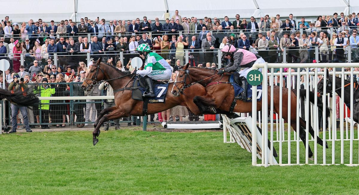 Wellington Arch winning the Ladies Day Handicap Hurdle at a competitive finish