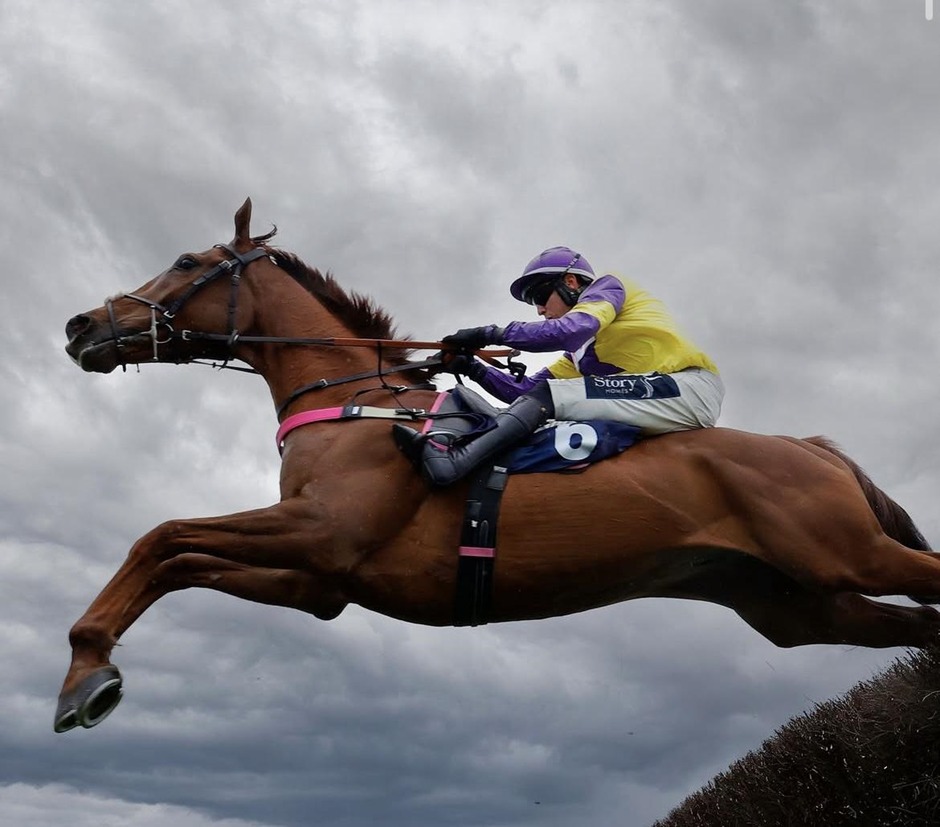 Newton Abbot racecards 14 April jump racing action at Newton Abbot Racecourse