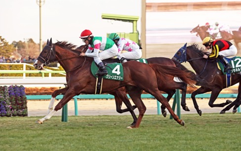 Tokyo Race Cards 26 April race schedule at Tokyo Racecourse