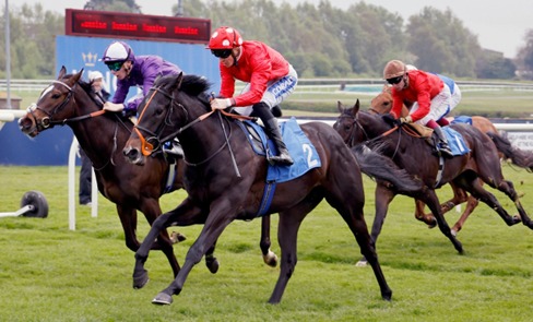 Leicester Race Results 25 April featuring MR MACARTNEY and STRIKE RED winning
