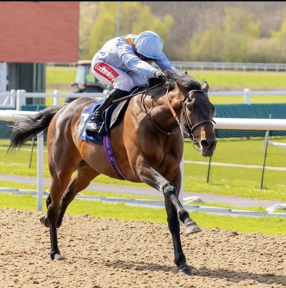Wolverhampton racecards 27 April all-weather racing action at Wolverhampton Racecourse
